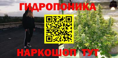 спайс Аргун