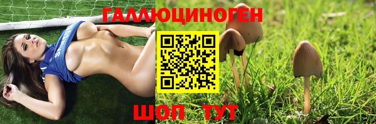 Галлюциногенные грибы Psilocybe Аргун