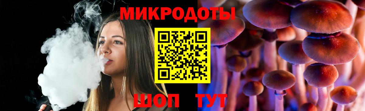 Галлюциногенные грибы GOLDEN TEACHER  дарнет шоп  Аргун  Вход с VPN 